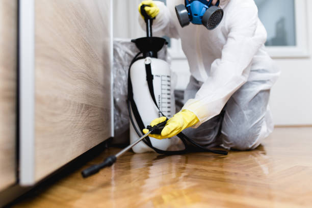 Best Pest Prevention Services  in Woodland Hills, UT