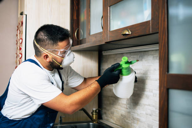 Best Wasp Removal Services  in Woodland Hills, UT