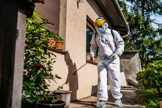 Best Affordable Pest Control Services  in Woodland Hills, UT