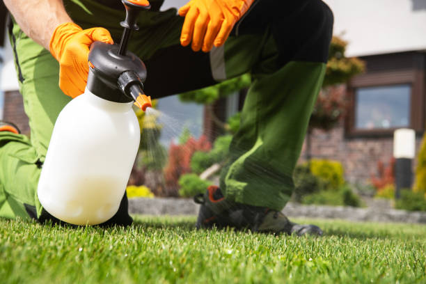 Pest Control Cost in Woodland Hills, UT