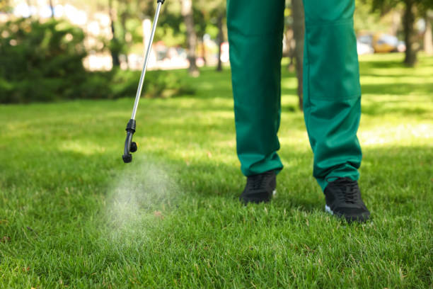 Best Termite Control Services  in Woodland Hills, UT