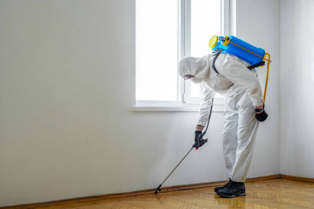 Best Ant Control Services  in Woodland Hills, UT