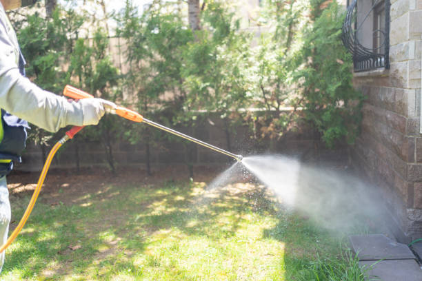 Best Residential Pest Control  in Woodland Hills, UT