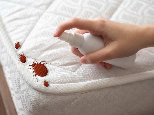 Pest Control for Restaurants in Woodland Hills, UT