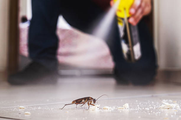 Pest Prevention Services in Woodland Hills, UT