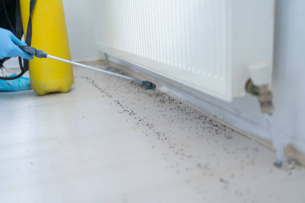 Woodland Hills, UT Pest Control Company